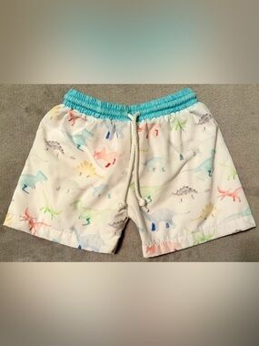 Boy’s Saving Grace Smocks Dino Swim Shorts Sz 2T Teal Elastic Drawstring Waist